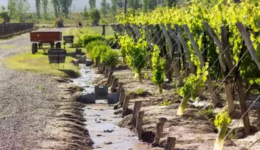 riego-por-acequia