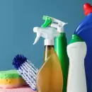 Cómo hacer un hogar más saludable y sin tóxicos para el 2025