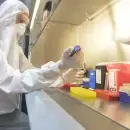 La variante de la gripe H3N2 dispara contagios y podría llegar a Argentina en otoño