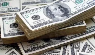 dolares(8)