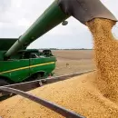 Cosecha r�cord en Argentina: el agro proyecta ingresos por m�s de u$s 31.000 millones en 2025