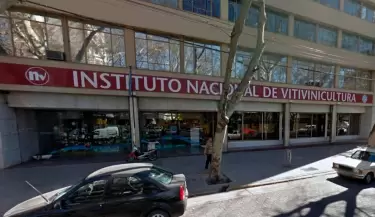 vitivinicultura-inv-infocampo(1)