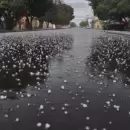 Alerta por tormentas, r�fagas y granizo en Mendoza: Estas zonas ser�n las afectadas