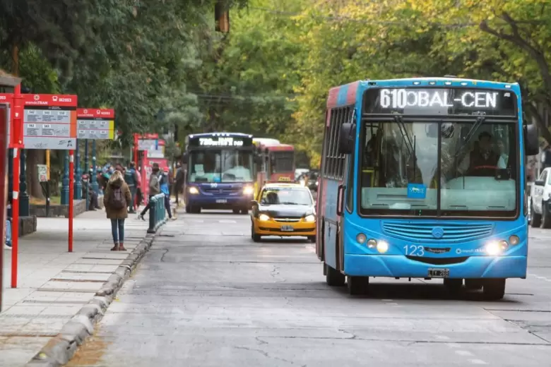 colectivos(1)
