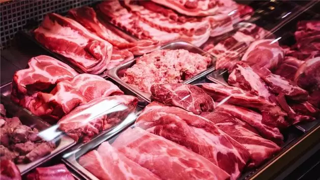 CARNE(9)