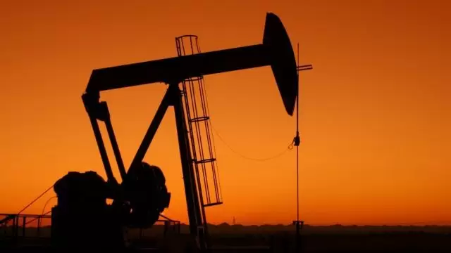 petroleo(20)