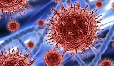CORONAVIRUS1(26)