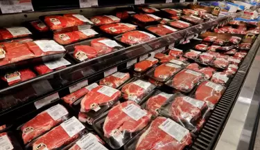 Carnes