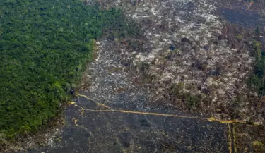 Deforestaci�n Amazonas