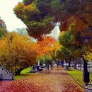 La llegada del oto�o: un momento ideal para la introspecci�n y el renacer personal