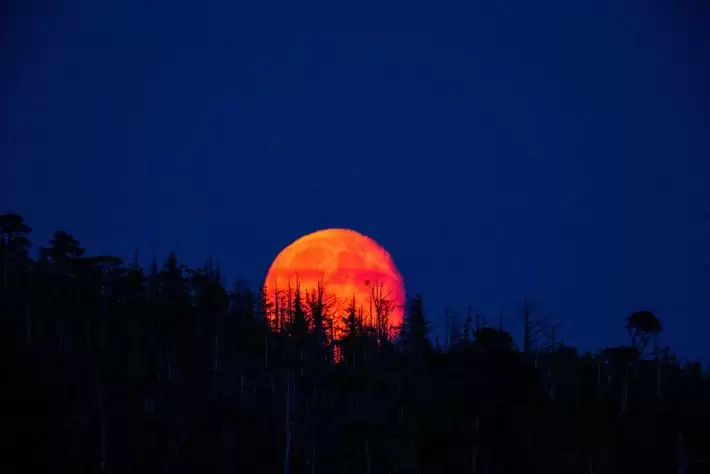 Luna Roja
