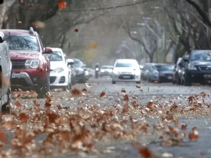 viento zonda