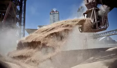granos y cereales