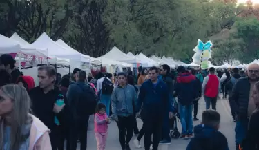 FERIA DISE�O LIBRE D�A DEL NI�O