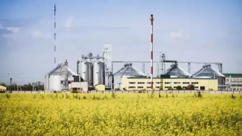biodiesel