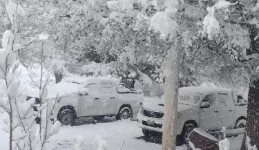 Nevada