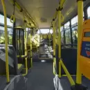 Colectivos y micros modelo 2012 seguirán en servicio hasta diciembre