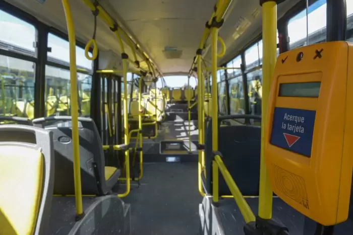 colectivo