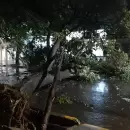 El saldo de las tormentas de las �ltimas horas y c�mo se encuentran las rutas