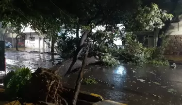 Lluvias Mendoza