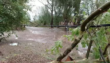 da�os-tormenta