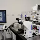 Preocupaci�n por una baja hist�rica de la inversi�n estatal en Ciencia y Tecnolog�a