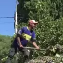 M�s cobertura para el desempleo rural: se actualizar� la prestaci�n mensual