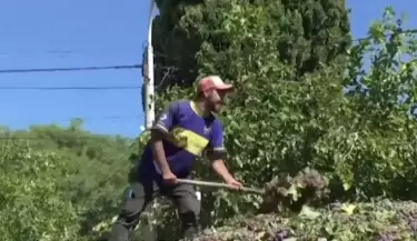 Cosecha-viviendas