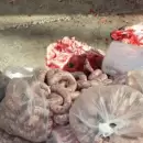 Otro golpe al comercio ilegal de la carne: incautan casi 90 kilos en mal estado en Maipú