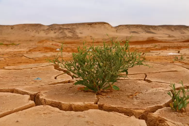 desierto cambio climatico