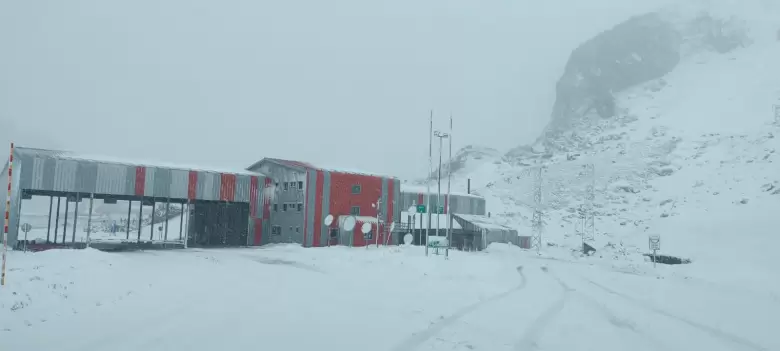 pehuenche2