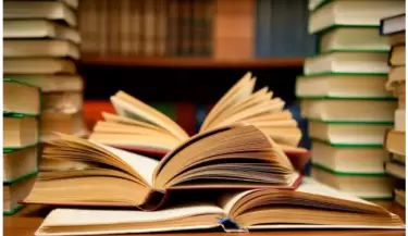 dia nacional del libro