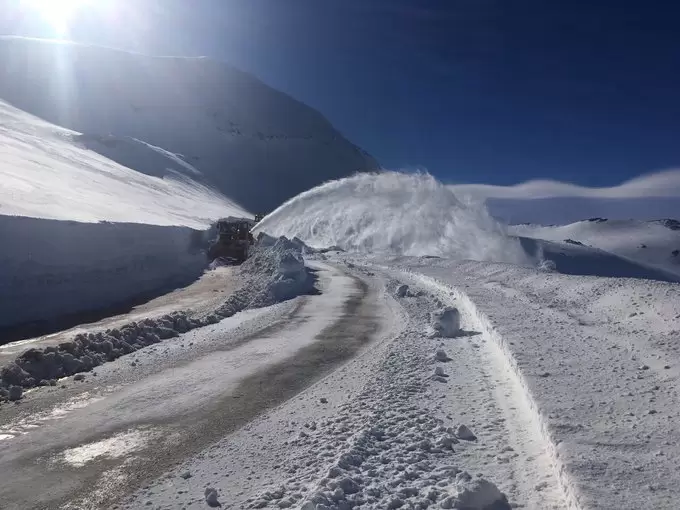 pehuenche
