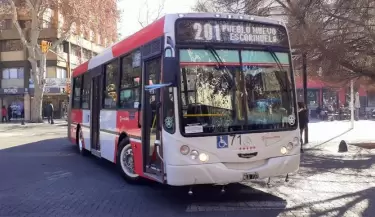 colectivo 201