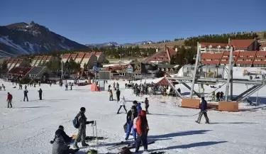 Nieve las le�as
