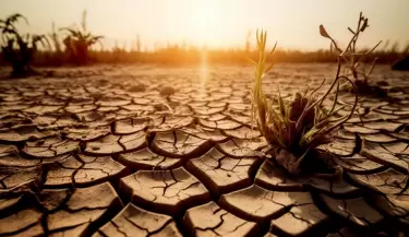 cambio climatico