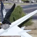 Mendoza inicia una de las obras viales más importantes de los últimos 50 años