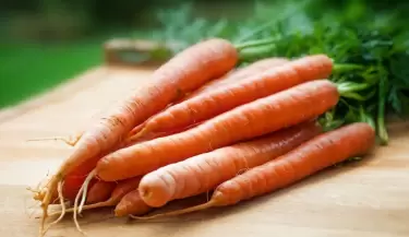 Zanahorias