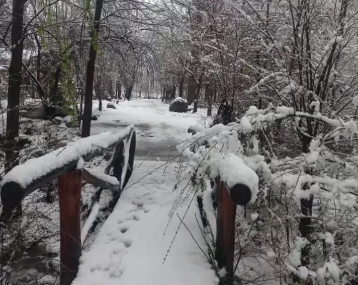 Nieve