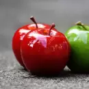 La manzana como aliada de la salud: qu� beneficios tiene comerla regularmente