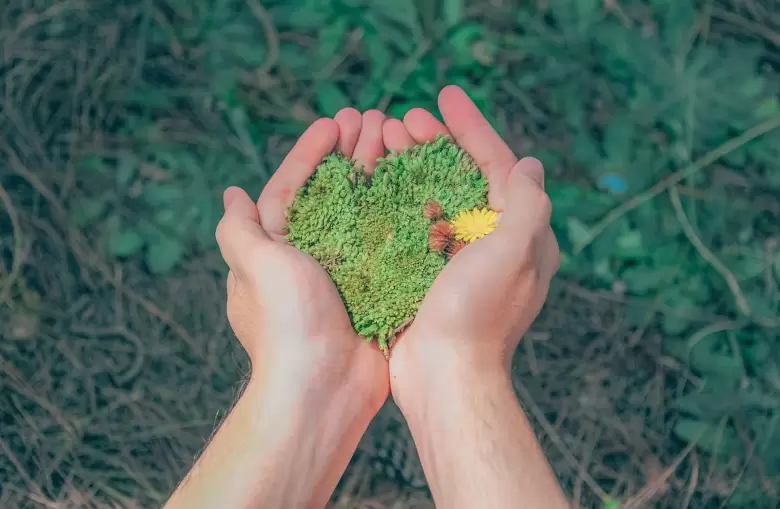 Medio ambiente