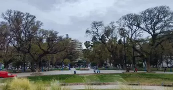 congreso