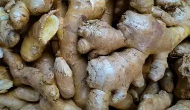 jengibre
