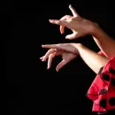 Artistas de Sevilla presentarán un show de flamenco en Guaymallén