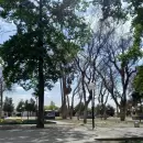Pron�stico: s�bado con descenso de temperatura en Mendoza