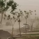 Viento Zonda en Mendoza: recomendaciones para enfrentar el fen�meno