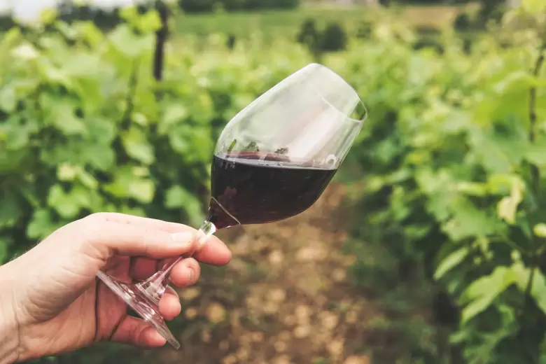 Copa de vino