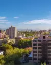 ANSES pagos