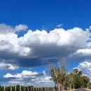 Mesa adentro o mesa afuera: Estado del tiempo en Mendoza
