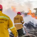 Mendoza en alerta por riesgo extremo de incendios: altas temperaturas y multas